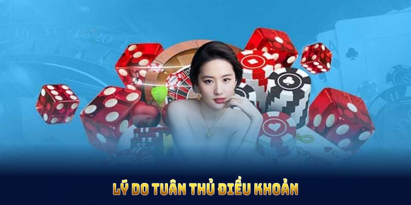 Lý do tuân thủ điều khoản điều kiện Suncity để tránh vi phạm